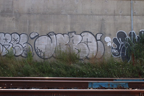 53934806784_1c872320d8.jpg